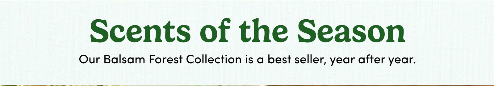 Scents of the Season Our Balsam Forest Collection is a best seller, year after year.