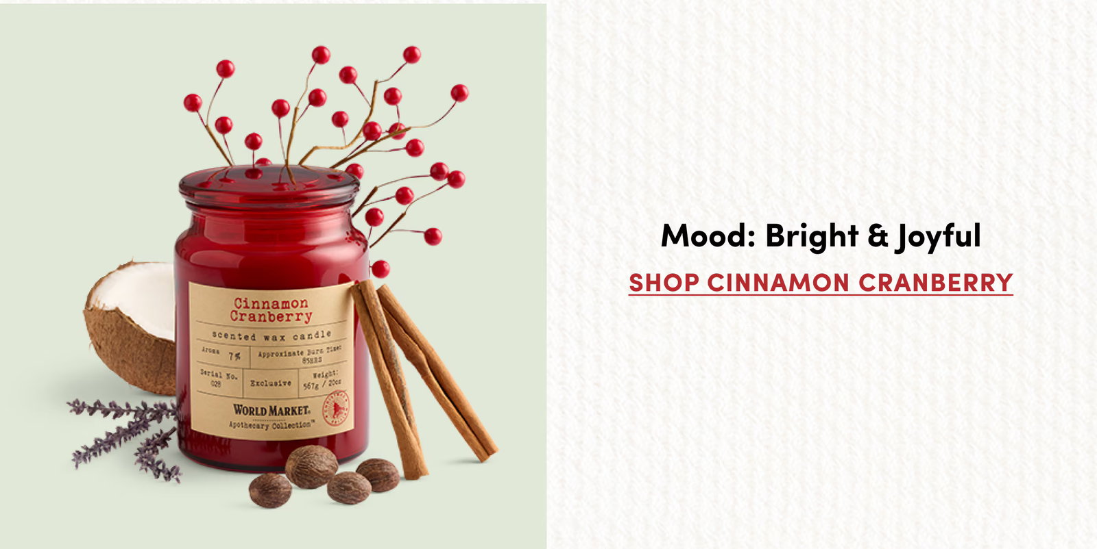 Mood: Bright & Joyful Shop Cinnamon Cranberry