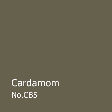 Square swatch of Cardamom