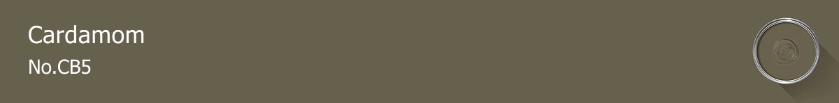 Rectangle banner of Cardamom