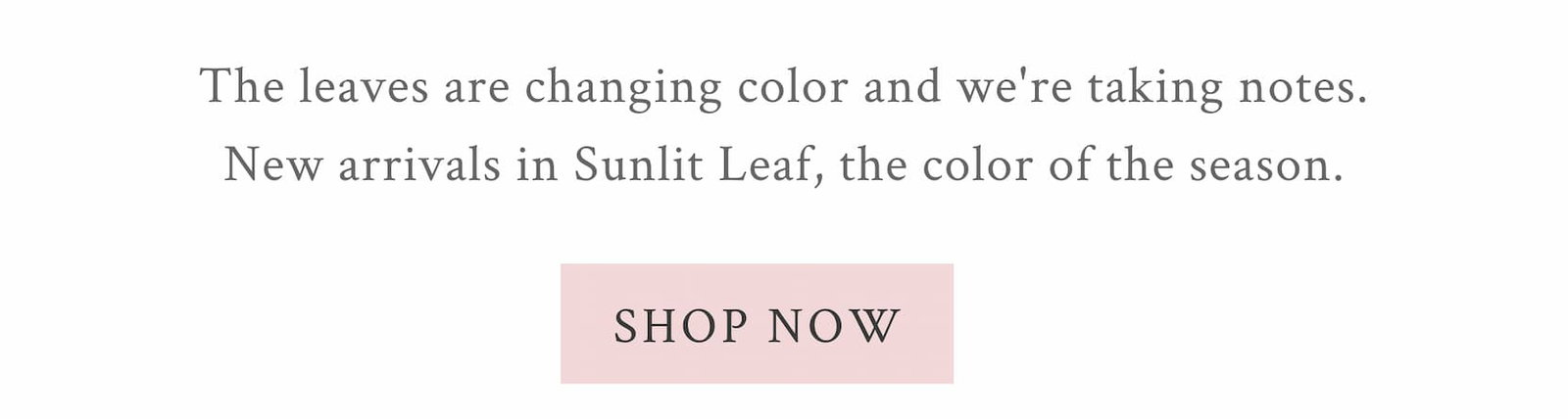 THE LEAVES ARE TURNING  The leaves are changing color and we're taking notes. New arrivals in Sunlit Leaf, the color of the season.