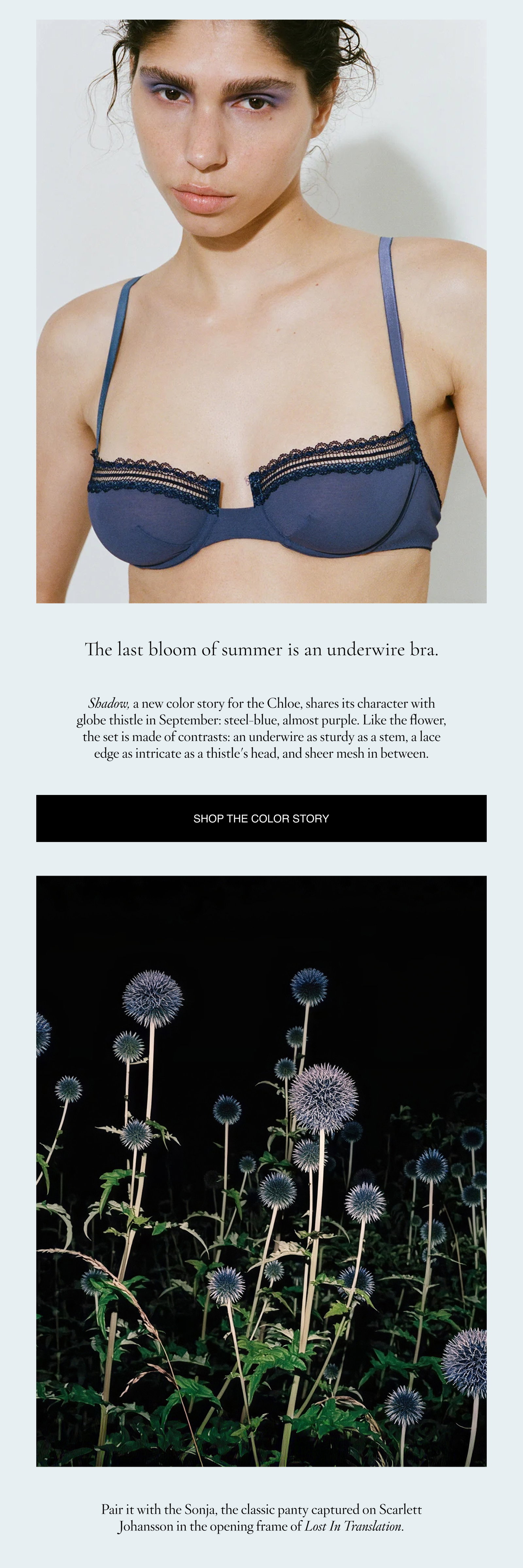 The last bloom of summer is an underwire bra