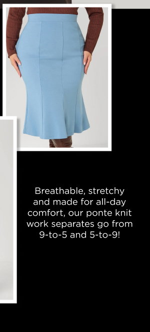 Seam Detail Ponte Skirt