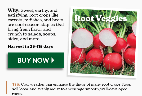 Root Veggies: Sweet, earthy, and satisfying, root crops like carrots, radishes, and beets are cool-season staples that bring fresh flavor and crunch to salads, soups, sides, and more.