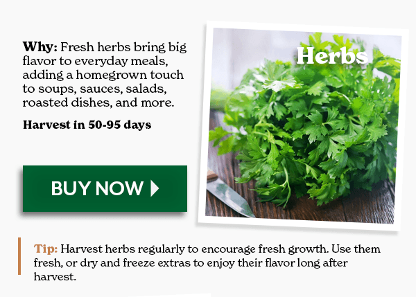 Herbs: Fresh herbs bring big flavor to everyday meals, adding a homegrown touch to soups, sauces, salads, roasted dishes, and more.