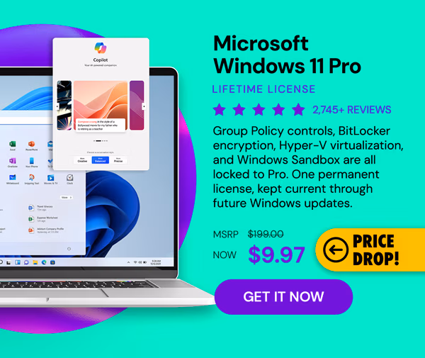 Microsoft Windows 11 Pro