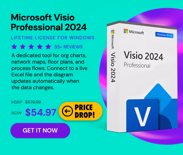 Microsoft Visio Professional 2024: Lifetime License for Windows