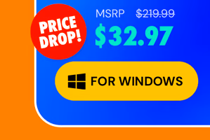 Microsoft Office Professional 2021 for Windows: Lifetime License