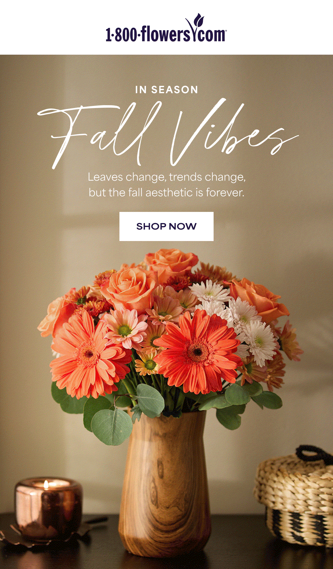 In Season | Fall Vibes | Leaves change, trends change, but the fall aesthetic is forever.