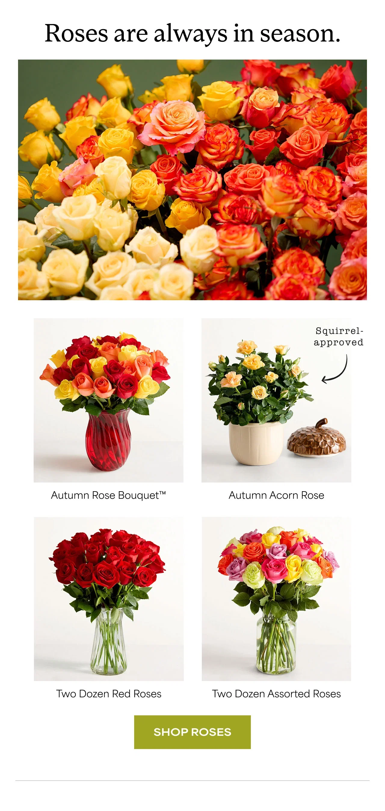 Roses are always in season.