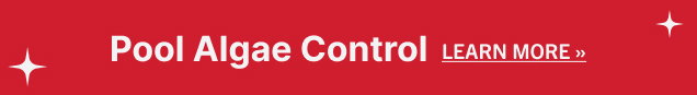 Pool Algae Control (Learn More)