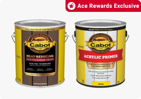 Ace Rewards Exclusive