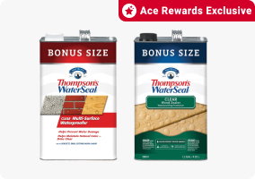 Ace Rewards Exclusive
