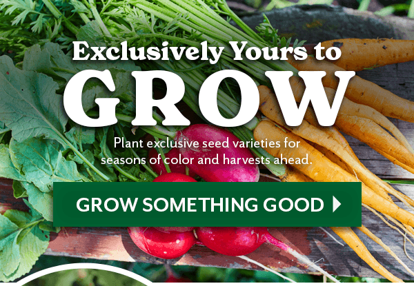 EXCLUSIVELY YOURS TO GROW - PLANT EXCLUSIVE SEED VARIETIES FOR SEASONS OF COLOR AND HARVESTS AHEAD