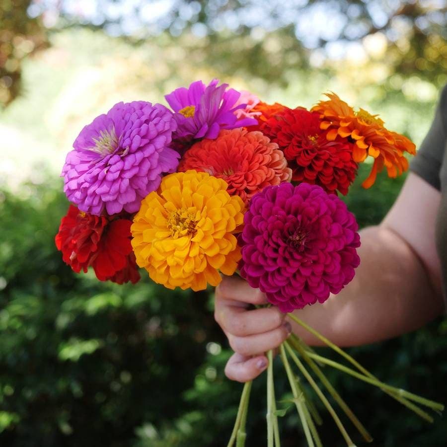 EXCLUSIVE FLOWERS