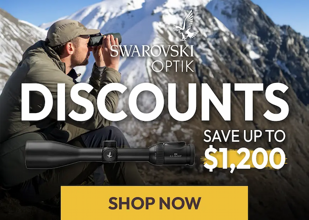 Swarovski Demo Deals - Save up to 25%