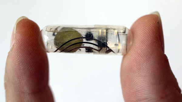 A translucent ingestible capsule containing a spherical paper battery, held by two fingers on a white background.