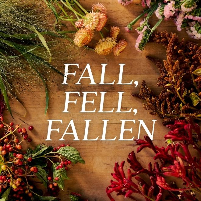 Fall is here! Here's the best of the season at Farmgirl.