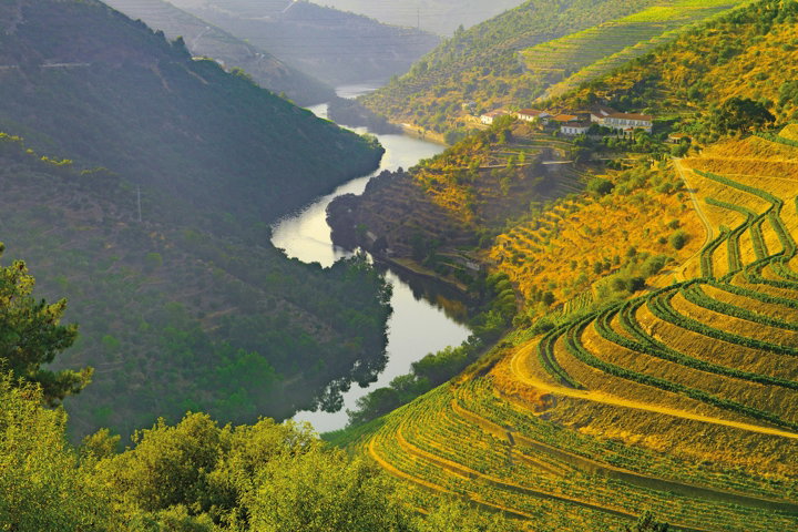 Country Roads of Portugal