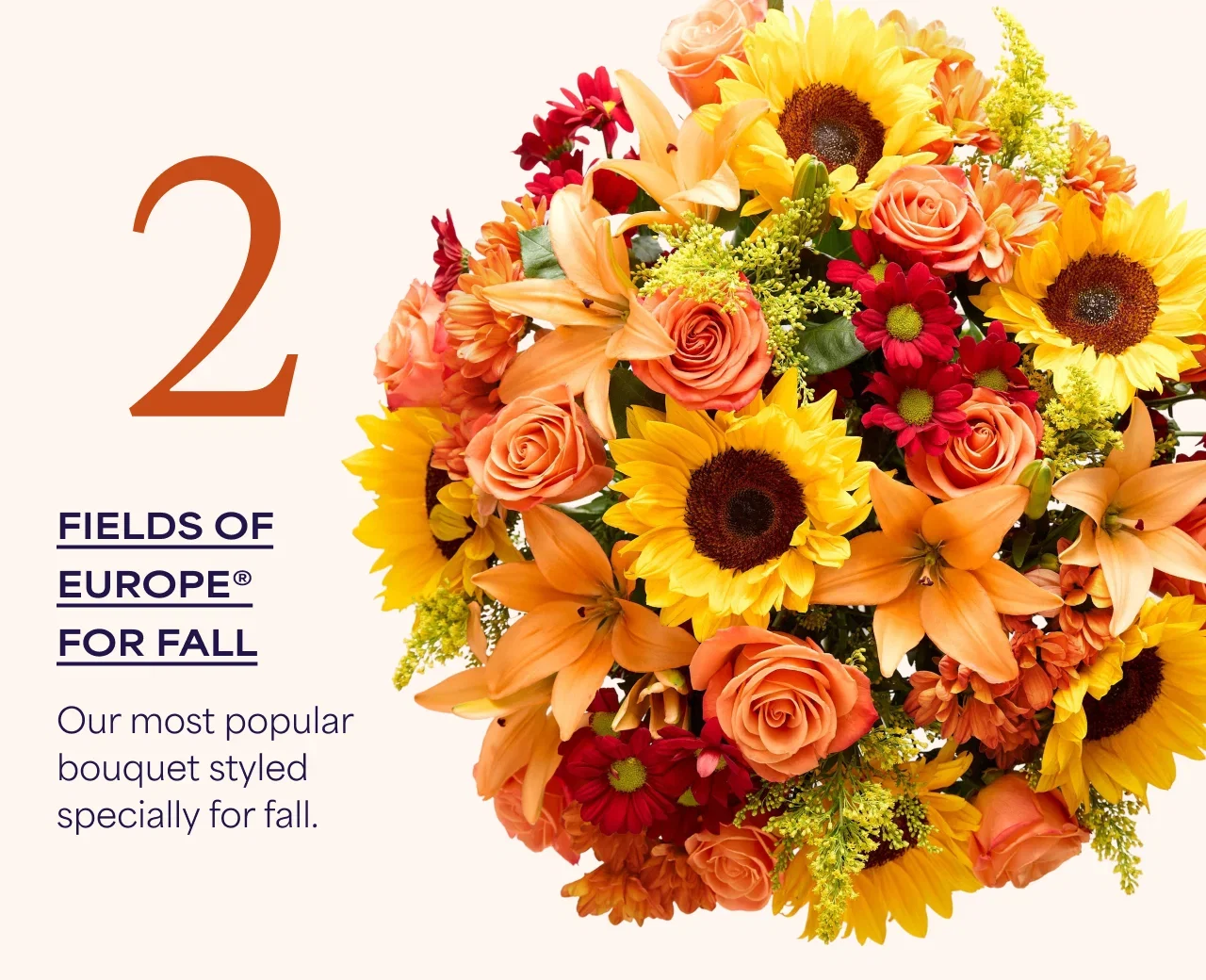 2 | Fields of Europe for Fall | Our most popular bouquet styled for fall.