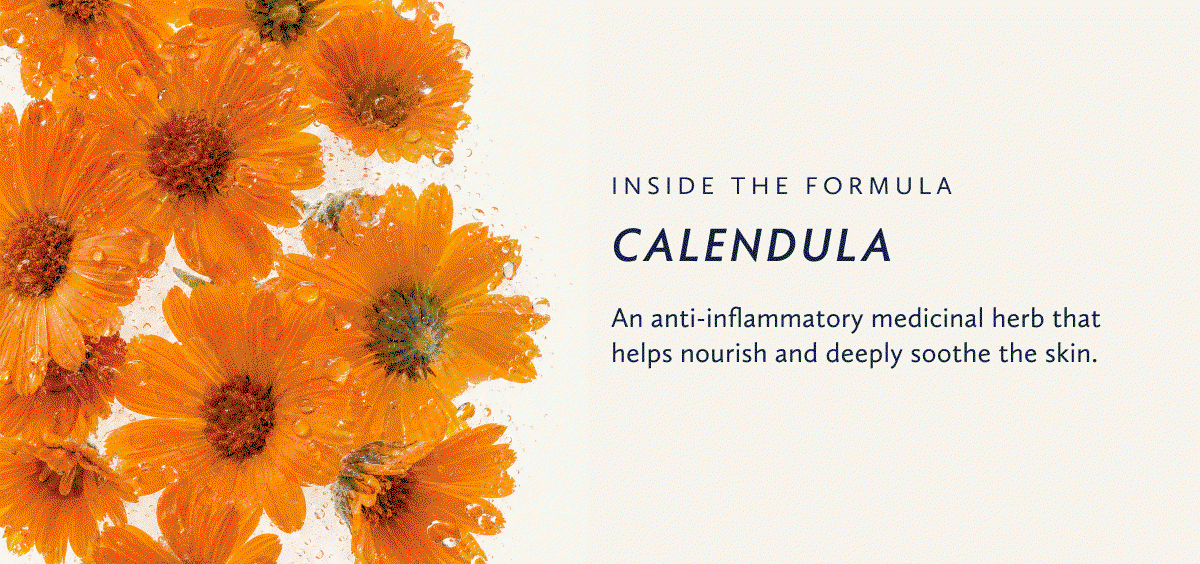 Shop the Calendula Essential Cleansing Oil Formula