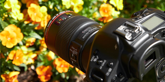 Macro Photography Buyer’s Guide