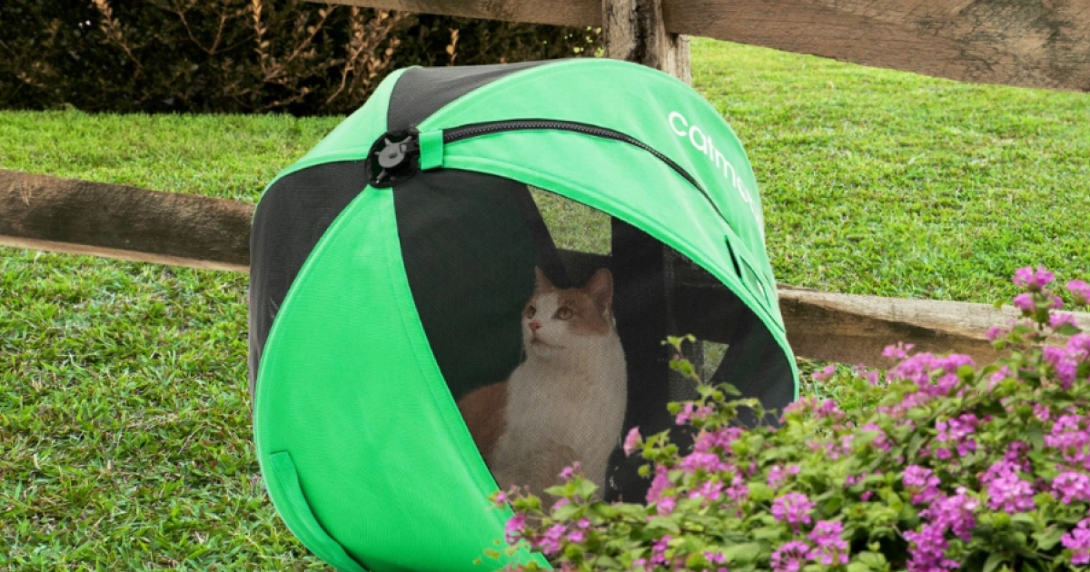 Catmobile: Outdoor exercise ball for indoor cats