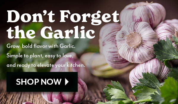 Grow Bold Flavor