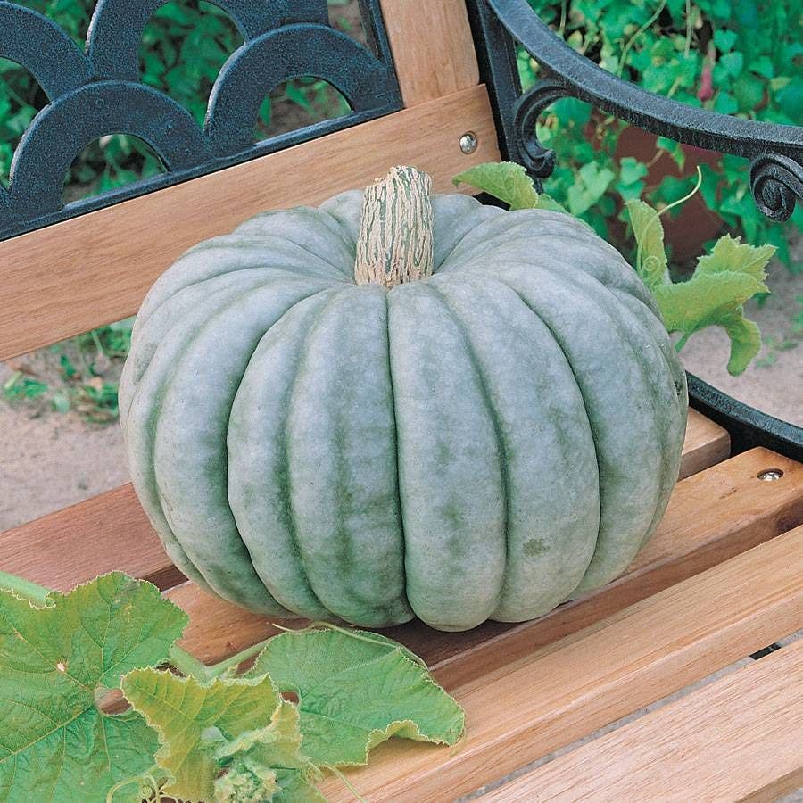 HEIRLOOM VEGETABLES