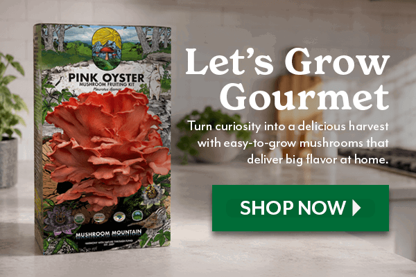 Let's Grow Gourmet