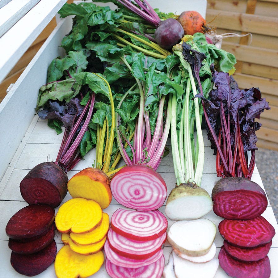 COOL SEASON VEGETABLES