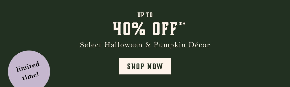 up to 40% off select halloween and pumpkin decor, shop now, limited time!