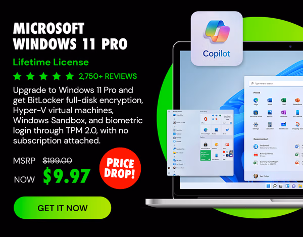Microsoft Windows 11 Pro