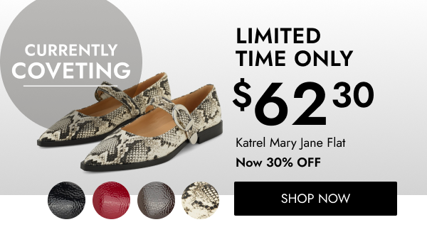 Limited time only: 30% off the Katrel Mary Jane Flat