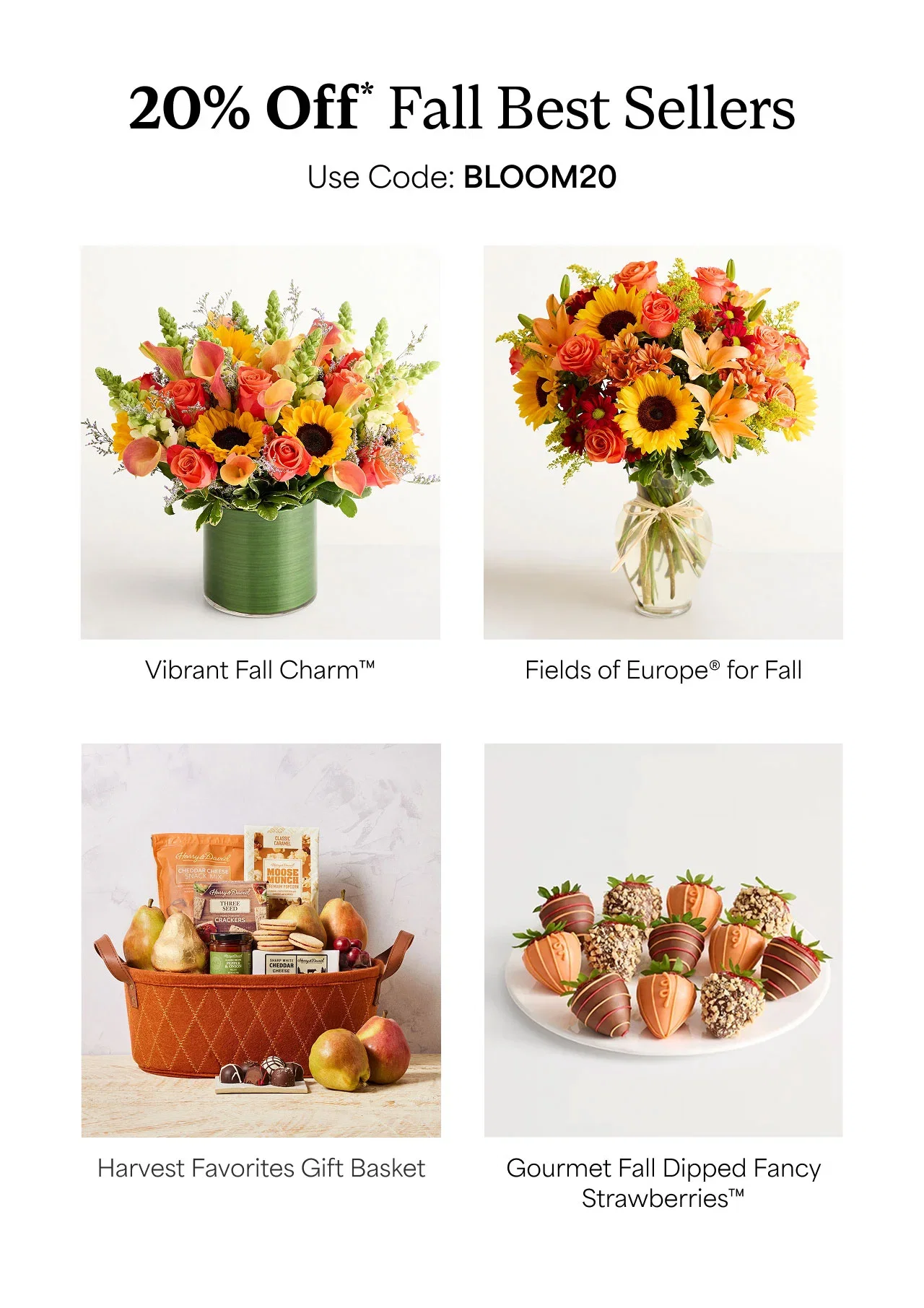 20% Off Fall Best Sellers | Use code BLOOM20 