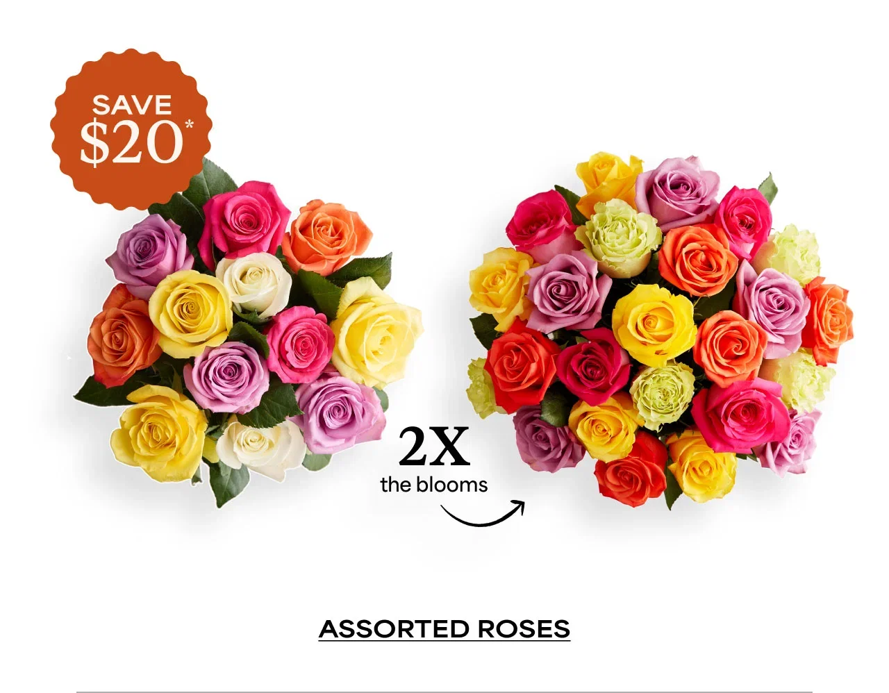 Assorted Roses