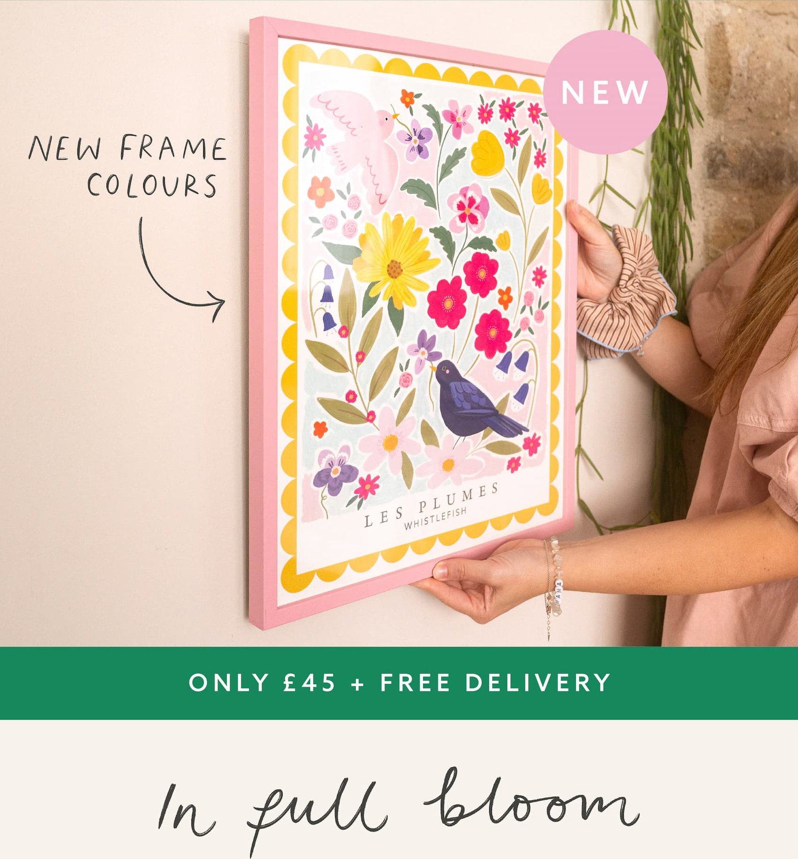New colourful floral and bird art print in a pink frame. Free delivery on this collection. In full bloom.