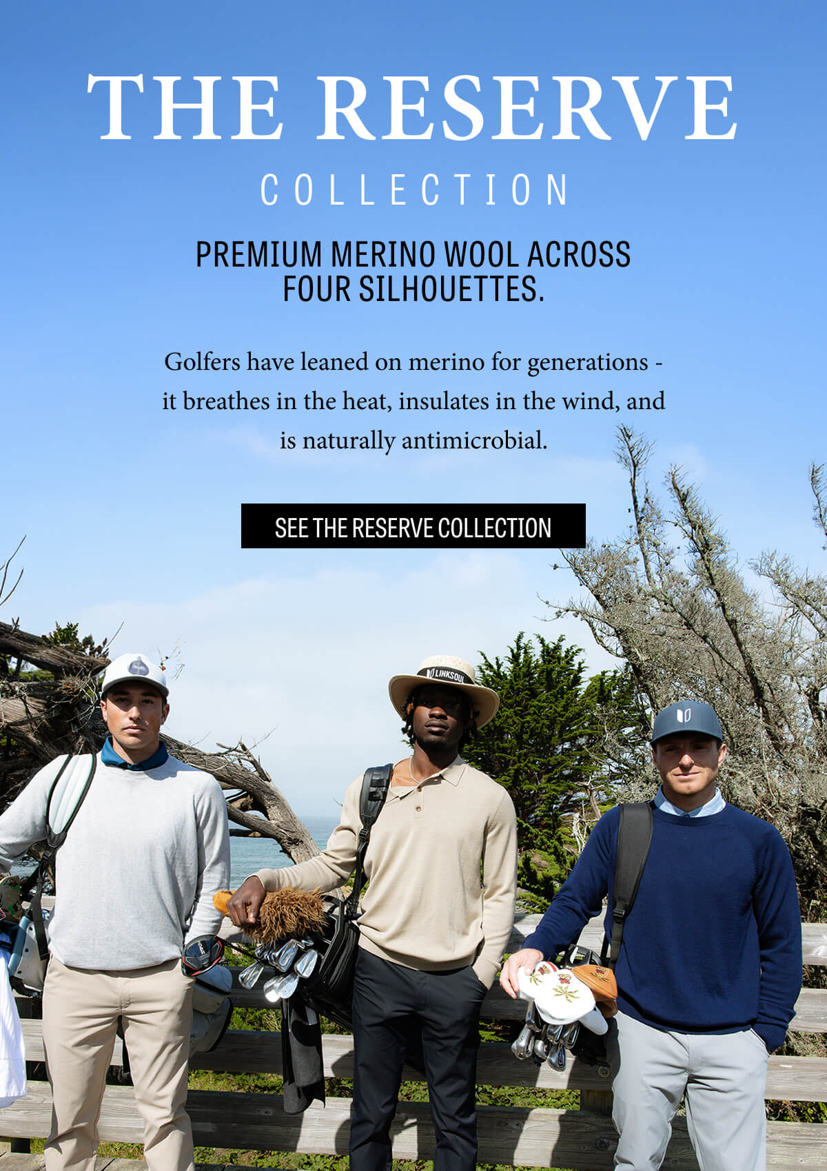 See the Reserve Collection