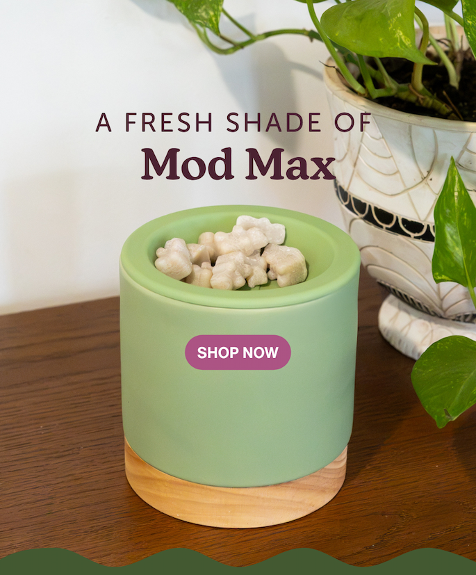 a fresh shade of mod max