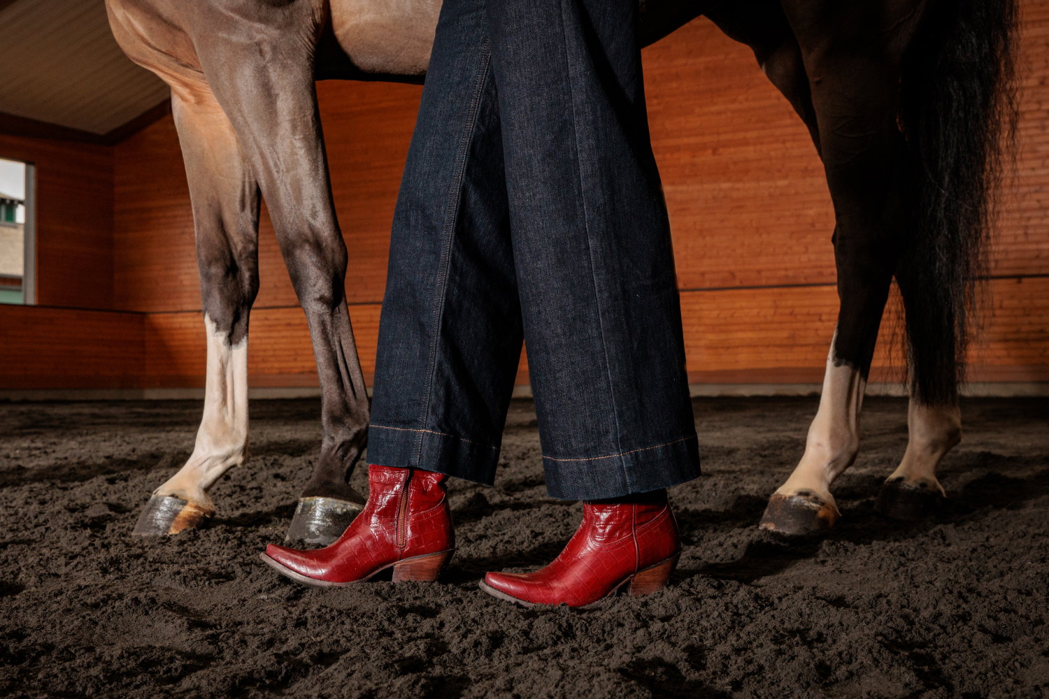 Women and horse