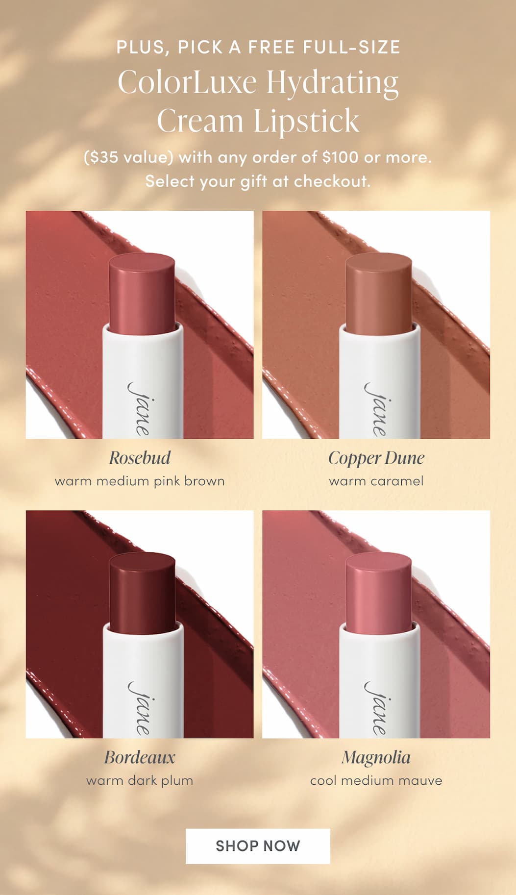 Free full-size lipstick on orders $100+
