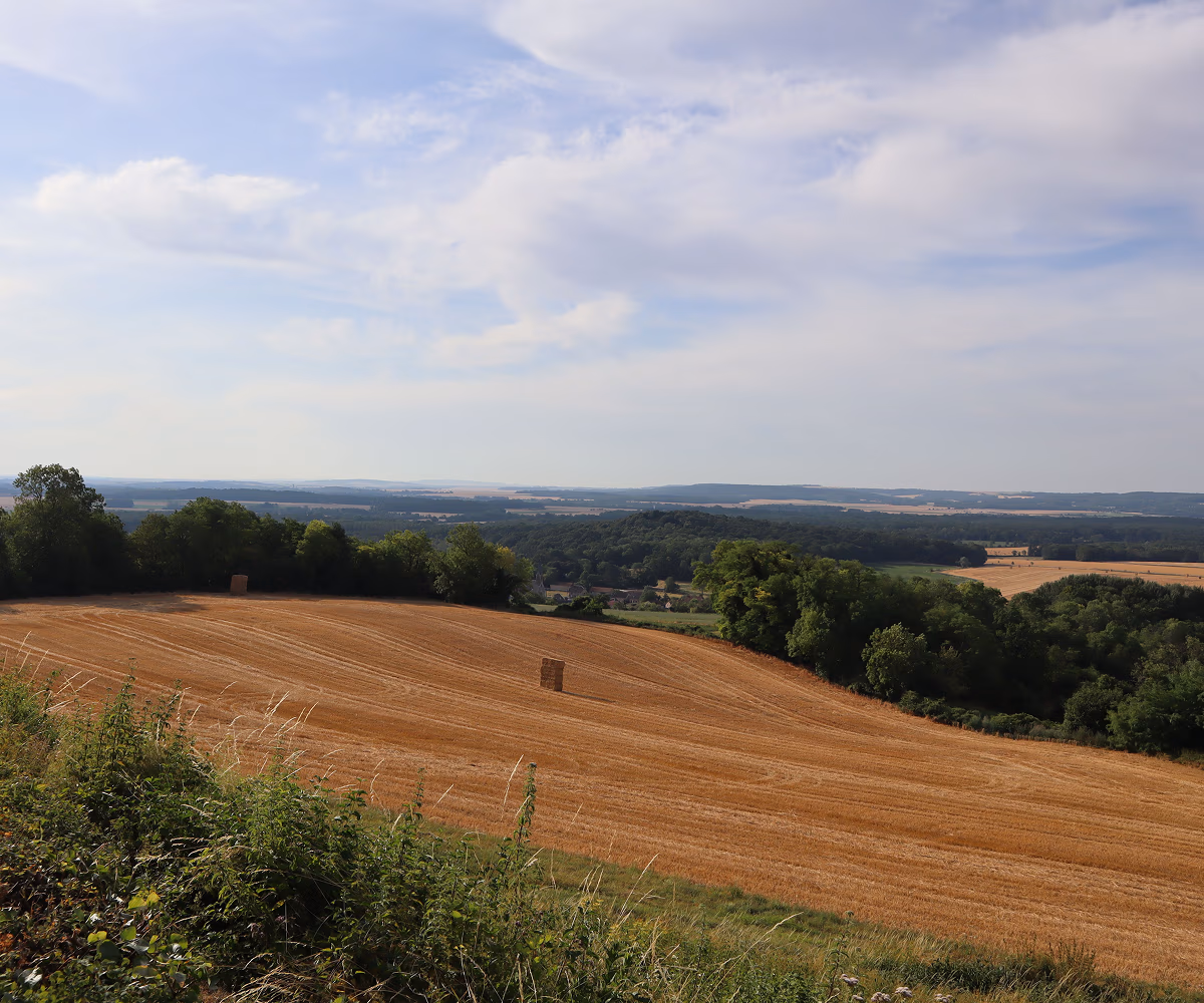 Landscape