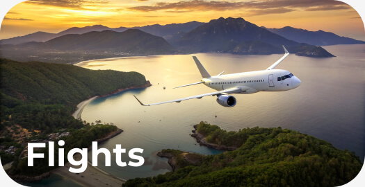 50% off flights