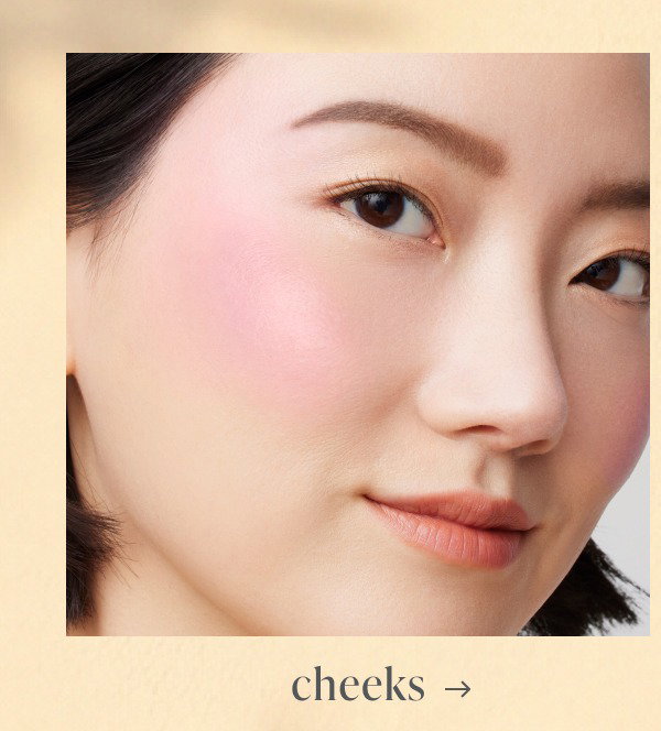 Shop Cheeks