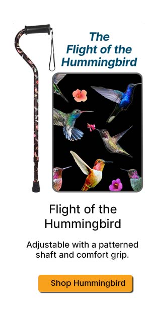 Flight of the Hummingbird