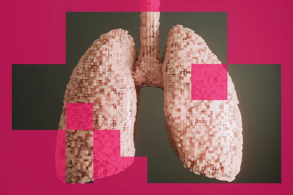 An illustration of a pixelated pair of lungs 