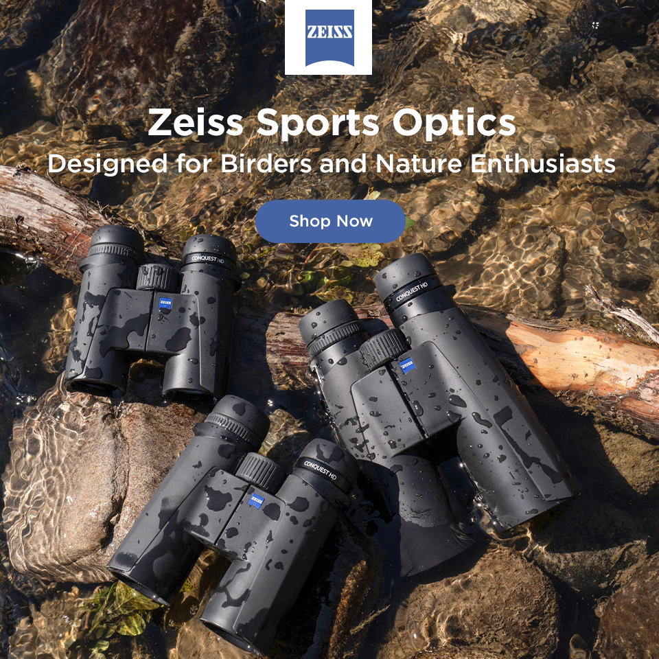Zeiss