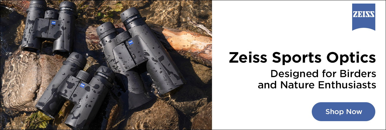 Zeiss