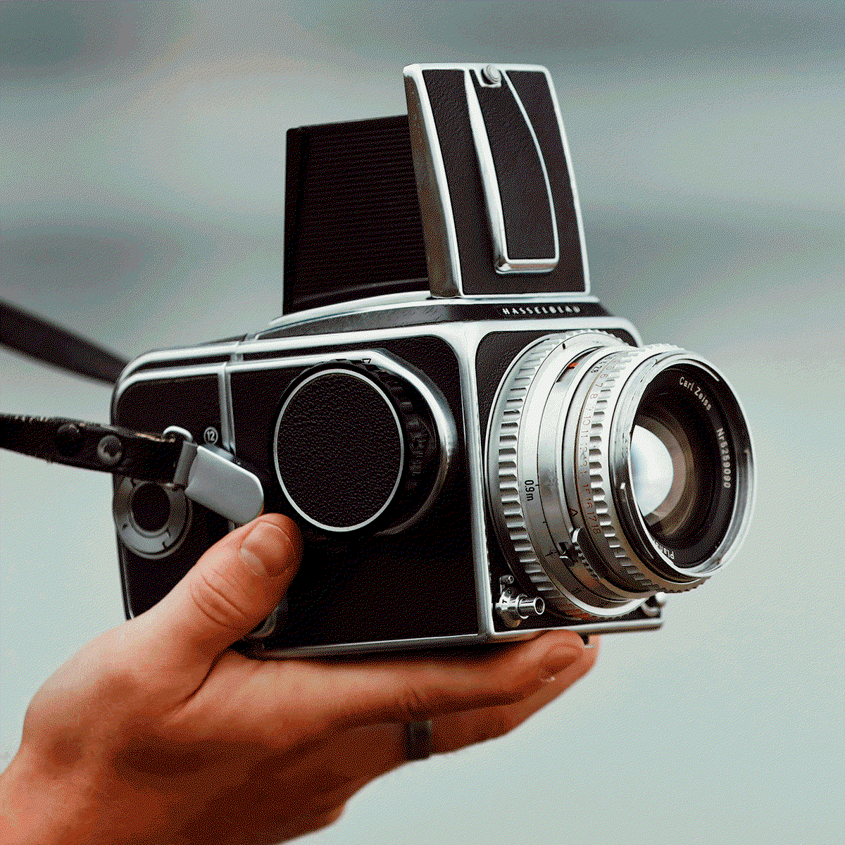 Medium and large format