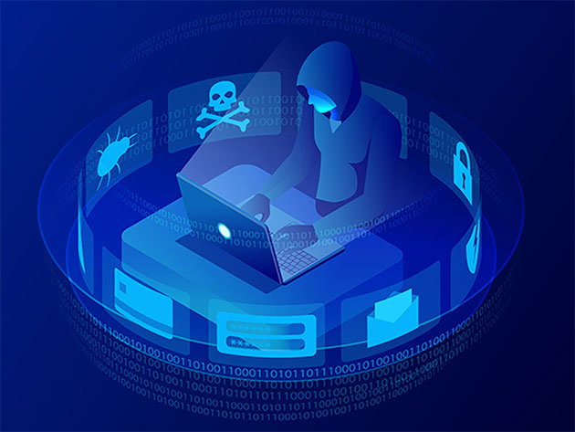 The 2026 Complete Offensive Cyber Security Bundle